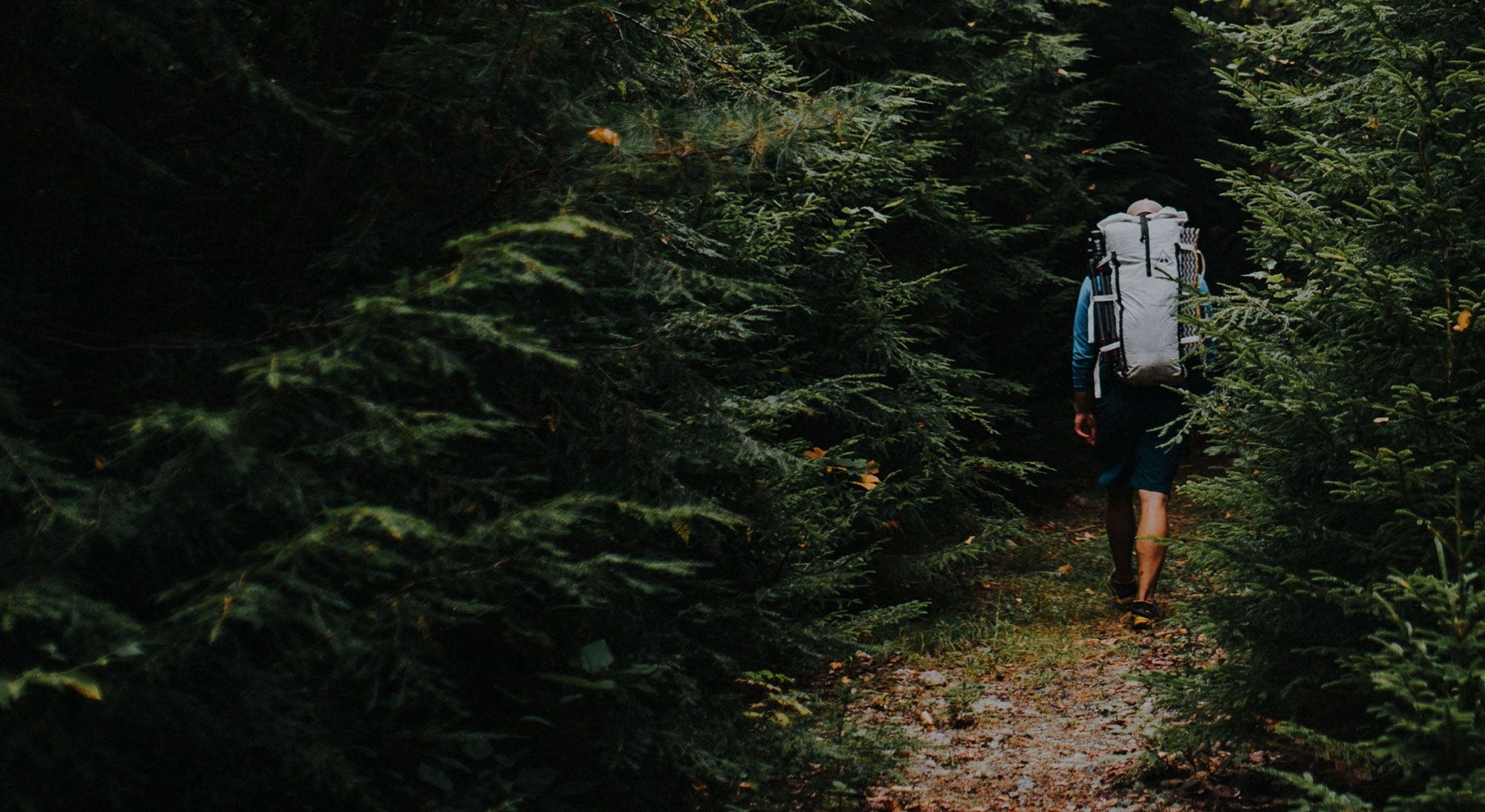 A man walking through a forest with a backpack.