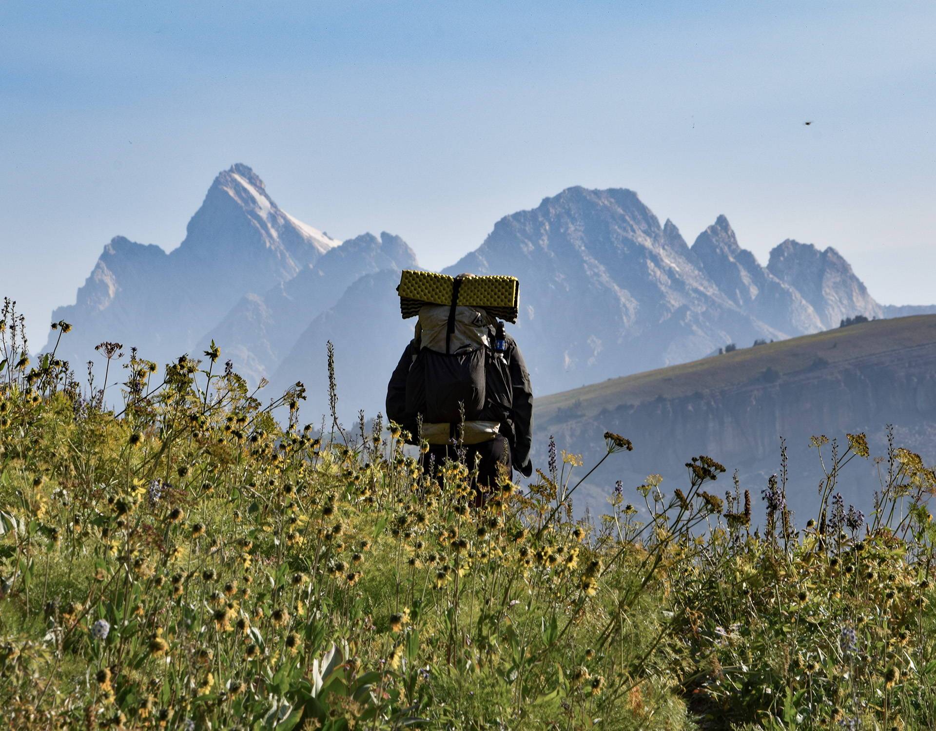 A man with a backpack walking through a field of wildflowers with mountains in the background.