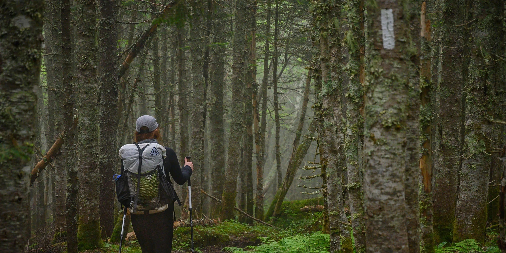 A person hiking through a forest with a backpack.